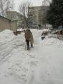 Уборка снега 09.02.2021